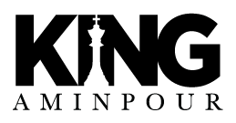 King Aminpour Car Accident Lawyer