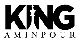 King Aminpour Car Accident Lawyer