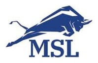 Law Offices of Michael S. Lamonsoff
