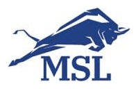Law Offices of Michael S. Lamonsoff